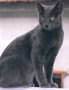 Azul ruso